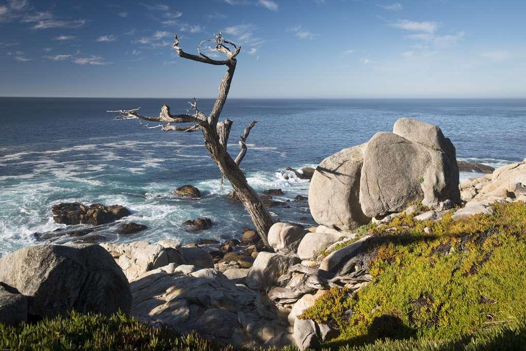 Inn At Spanish Bay Pebble Beach Buitenkant foto